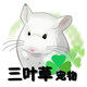 维妮妈咪龙猫柜笼订制