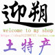 迎朔西藏土特产的LOGO