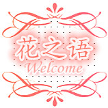 花之语干花