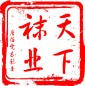 耐尔天下袜业