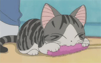 猫猫毛线编织专家