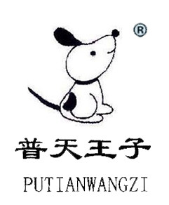 普天王子