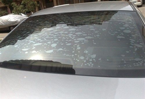 余杭汽车用品批发