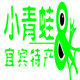 小青蛙宜宾特产店的LOGO