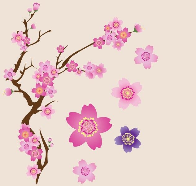 小堂包装