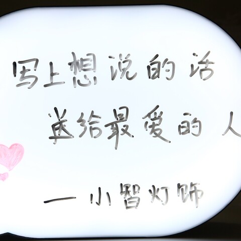 小智专业灯饰