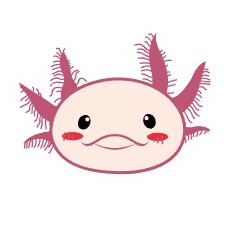 夜神月六角水族的LOGO