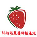 阡与陌草莓种植园艺