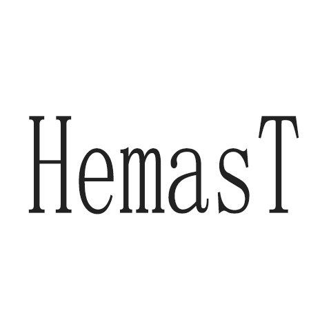 HEMAST watch