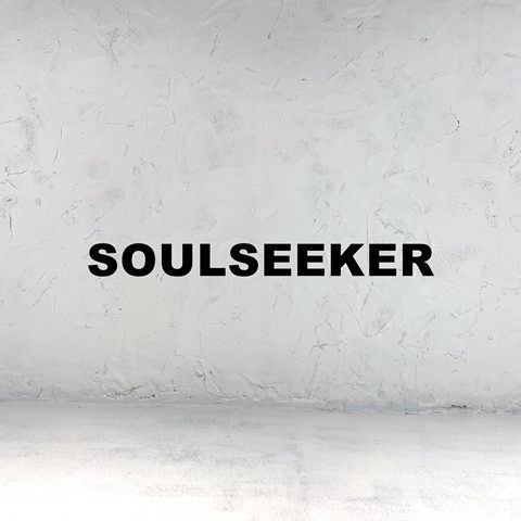 SOULSEEKER灵魂探索者