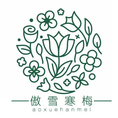 傲雪寒梅金达莱花