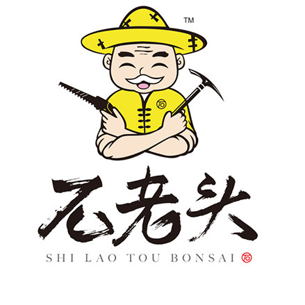 石老头儿