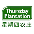 星期四茶树旗舰店的LOGO