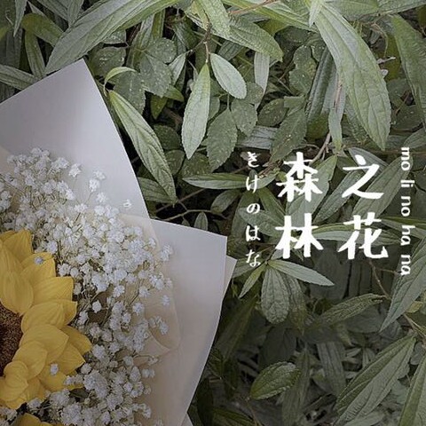 芝麻的手帐店