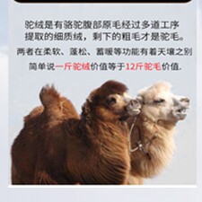 内蒙古正品驼绒草原姐妹服装店的LOGO