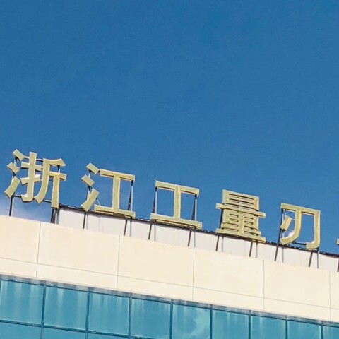 温岭云意数控刀具