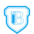 巴司德尼旗舰店的LOGO