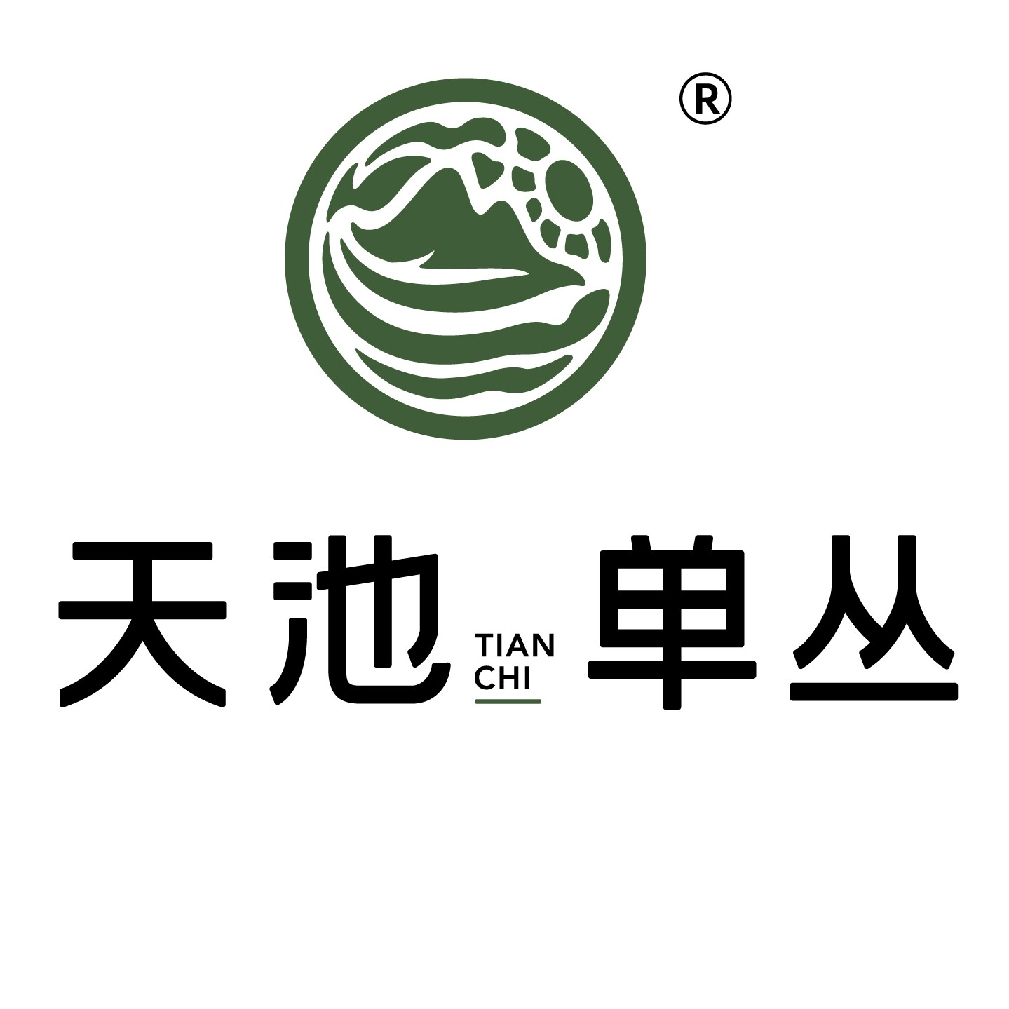 天池旗舰店的LOGO