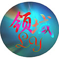 领域汽车贴纸的LOGO