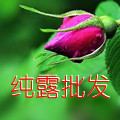 苦水玫瑰主题馆