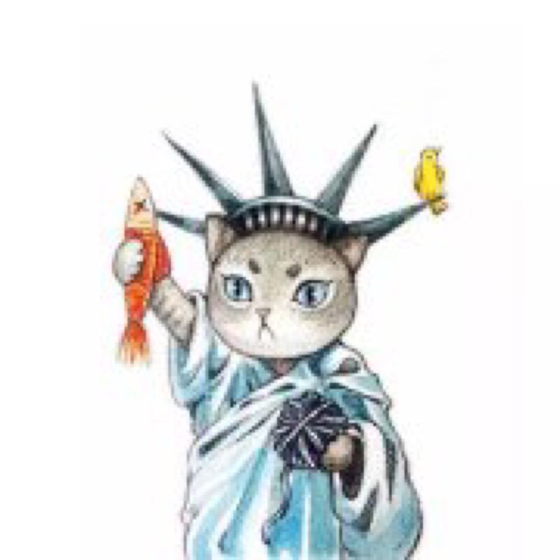 青猫之洁工作室