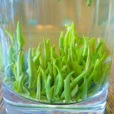 恩施州富硒茶总店