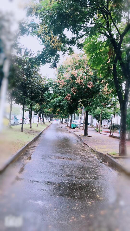 房老板的店