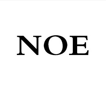 NOE高级定制