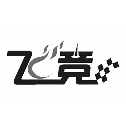 飞竞广州专卖店
