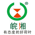 皖湘荷叶的LOGO