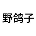 野鸽子旗舰店