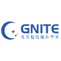 GNITE海外旗舰店的LOGO