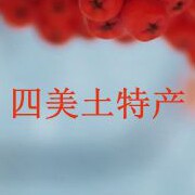 东北四美土特产的LOGO