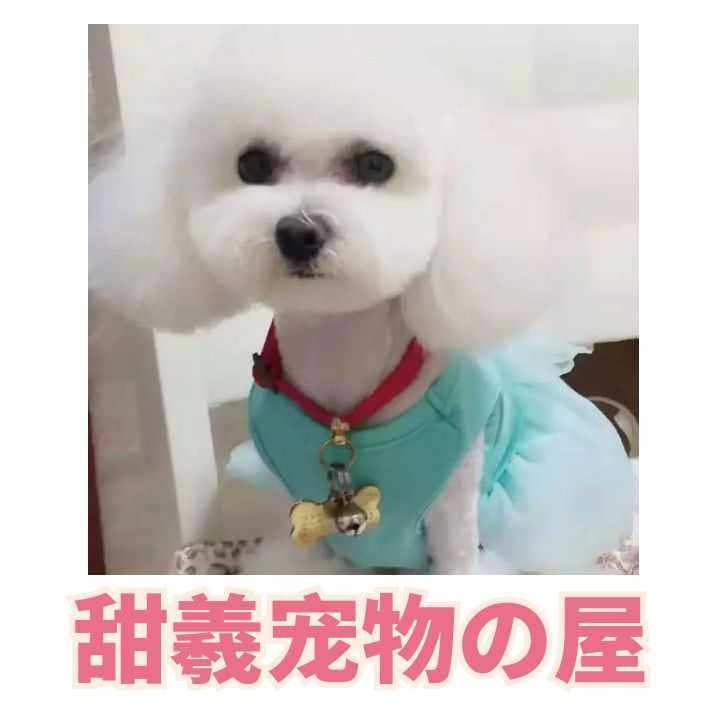 甜羲宠物の屋