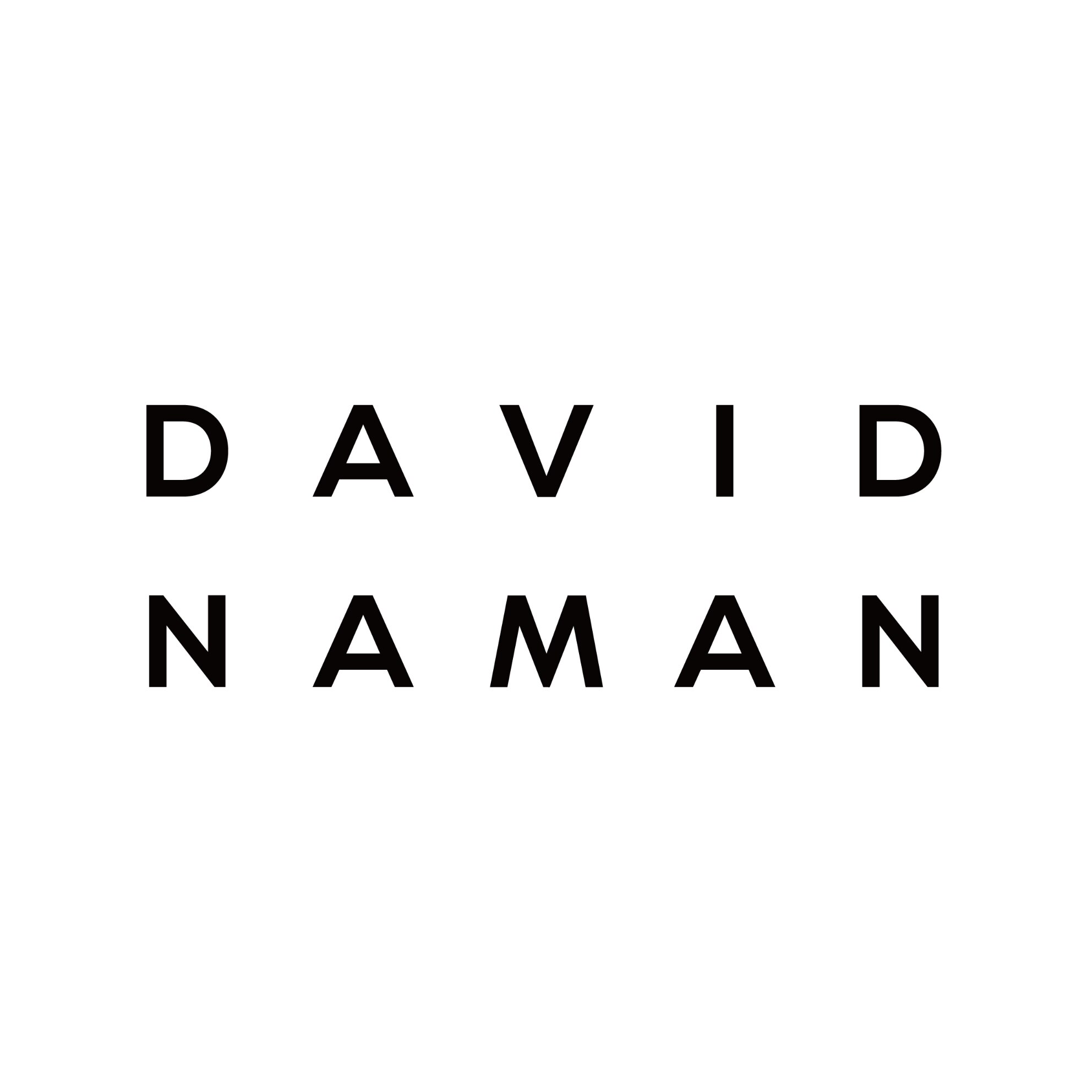 DAVIDNAMAN旗舰店的LOGO