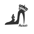 acesc艾斯臣旗舰店