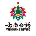 云南白药集团自营店