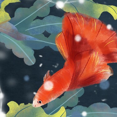 鲤想之家水族馆
