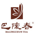 巴陵春茶叶旗舰店的LOGO