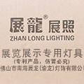 展龙展会照明