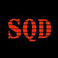 sqd旗舰店的LOGO