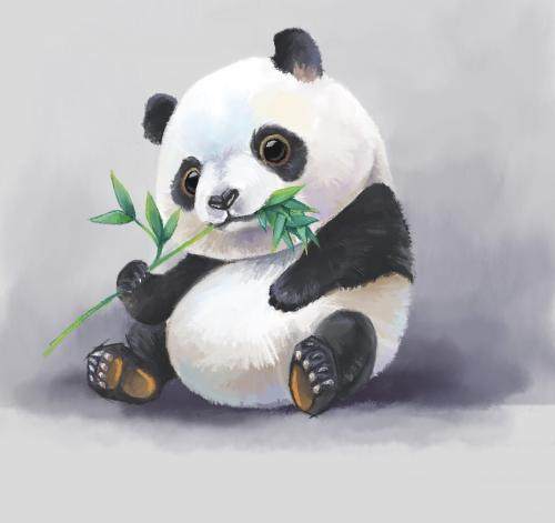 熊子的睡衣小铺