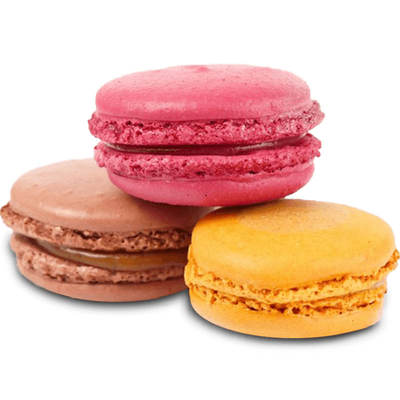 MOF认证法国成品进口马卡龙 法式甜点零食12粒手工礼盒