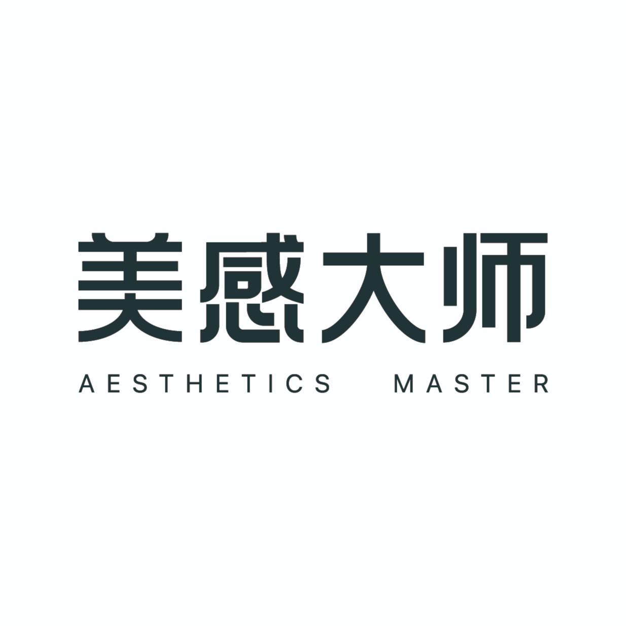 美感大师