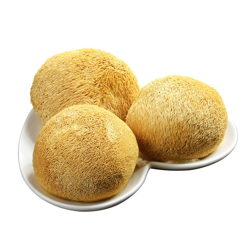 猴头菇挑得好，名品滋补又养胃！(图9)