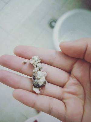 热卖10W+紧致冷敷凝胶 69一盒 买2盒发3盒，卖完就架了只有500盒