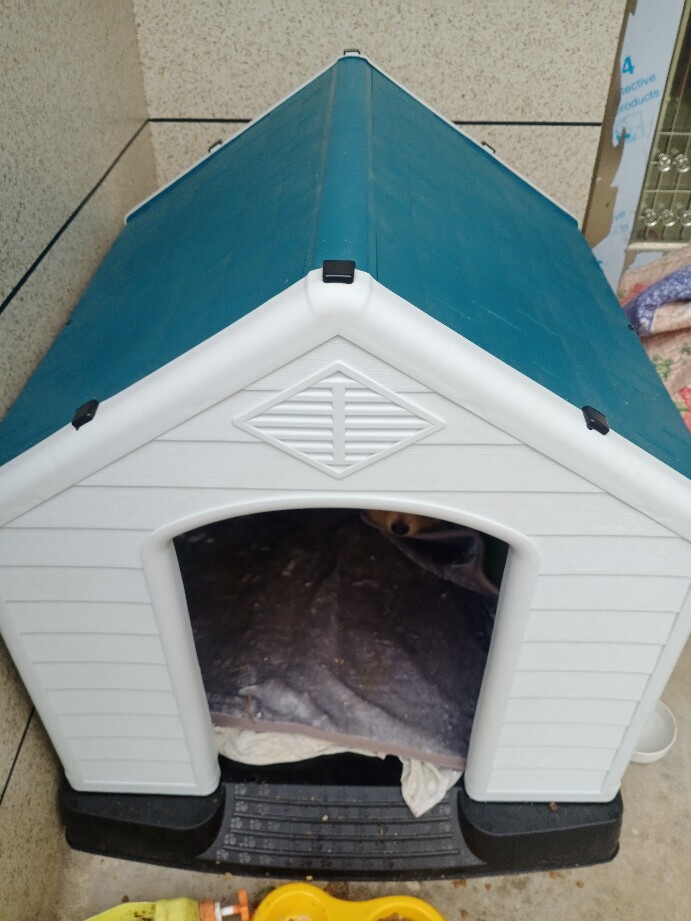 狗屋塑料保暖狗窝防雨室外中大型狗房子金毛拉布拉多狗笼狗舍防晒