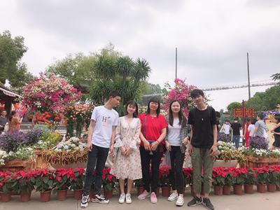 夏季短袖大码t恤男士纯棉上衣圆领打底衫半袖衣服潮流体恤男装丅