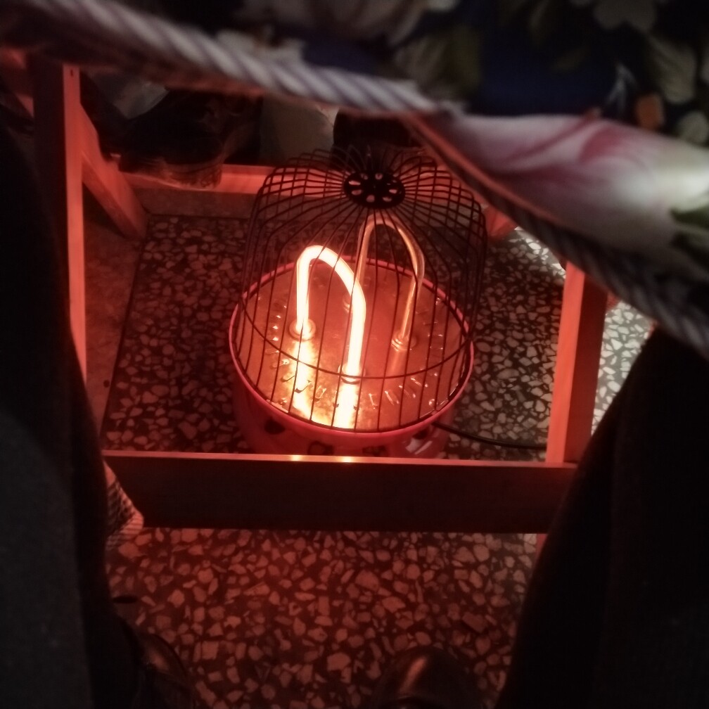 夏新鸟笼取暖器家用节能小太阳电暖气烤火炉省电小型电暖器烤火器