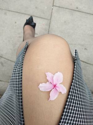 10双宝娜斯防勾丝防掉档薄款春夏季长筒显瘦黑色肉色连裤袜丝袜女